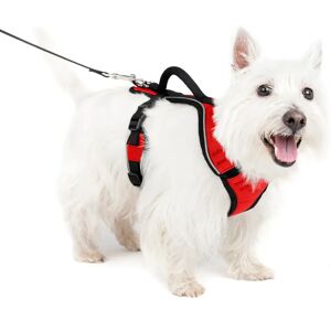 PETSAFE Easy Sport Harnas - S, Rood - Hondenharnas PETSAFE Easy Sport Harnas - S, Rood - Hondenharnas