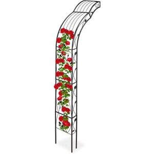 B2X Trellis de Pared - Arco de Rosa para Plantas Trepadoras B2X Trellis de Pared - Arco de Rosa para Plantas Trepadoras
