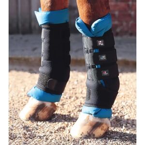 PREMIER EQUINE Bottes Magnétiques pour Chevaux - Soutien et Confort - Publicité PREMIER EQUINE Bottes Magnétiques pour Chevaux - Soutien et Confort - Publicité