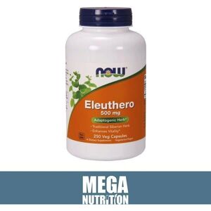 NOW Foods Eleuthero 500 Mg Siberian Ginseng - Dietary Supplement NOW Foods Eleuthero 500 Mg Siberian Ginseng - Dietary Supplement