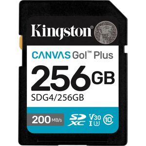 Kingston Technology Canvas Go! Plus - Card de memorie 256 GB Kingston Technology Canvas Go! Plus - Card de memorie 256 GB