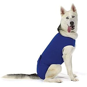 Gilet de récupération bleu KVP pour animaux - Vêtements - Publicité Gilet de récupération bleu KVP pour animaux - Vêtements - Publicité