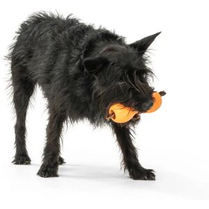 West Paw Qwizl Orange - Jouet pour chiens - Publicité West Paw Qwizl Orange - Jouet pour chiens - Publicité