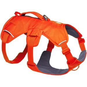 Harnais pour Chien Ruffwear Web Master - Orange Flamboyant - L/XL - Harnais pour Chien - Publicité Harnais pour Chien Ruffwear Web Master - Orange Flamboyant - L/XL - Harnais pour Chien - Publicité