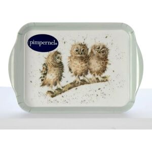 Wrendale Designs Extra Small 21 x 14cm Melamine Owl Scatter Tray Wrendale Designs Extra Small 21 x 14cm Melamine Owl Scatter Tray