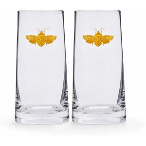 Spode Creatures of Curiosity Gold Moth Highball Glasses - Highball Glasses Spode Creatures of Curiosity Gold Moth Highball Glasses - Highball Glasses