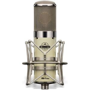 Avantone BV-1 MkII - Micrófono de tubo de diafragma grande - Micrófono Avantone BV-1 MkII - Micrófono de tubo de diafragma grande - Micrófono