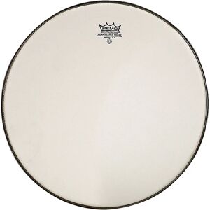 Remo Renaissance Ambassador Caisse Claire 10" - Caisse Claire - Publicité Remo Renaissance Ambassador Caisse Claire 10" - Caisse Claire - Publicité