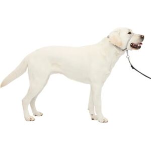 PetSafe Gentle Leader Geen-Trek Hondenkraag - De ultieme oplossing tegen trekken PetSafe Gentle Leader Geen-Trek Hondenkraag - De ultieme oplossing tegen trekken