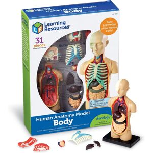 Learning Resources LER3336 Human Body Model - Anatomy Kit Learning Resources LER3336 Human Body Model - Anatomy Kit