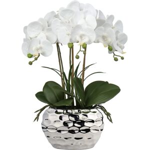 Briful 17" Artificial Orchid Phalaenopsis Flowers Decorative Bonsai Fake - Artificial Orchid Briful 17" Artificial Orchid Phalaenopsis Flowers Decorative Bonsai Fake - Artificial Orchid