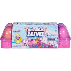 Jouet Carton d'Œufs Hatchimals avec 5 Mini Figurines - Œufs Auto-Éclosion - Jouet pour Enfants - Publicité Jouet Carton d'Œufs Hatchimals avec 5 Mini Figurines - Œufs Auto-Éclosion - Jouet pour Enfants - Publicité