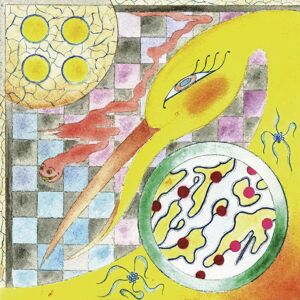 Reputado Reino Unido Marca Perfume CD EP - Perfume Reputado Reino Unido Marca Perfume CD EP - Perfume