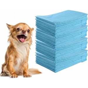 Costway Tapis d'Entraînement pour Chiens 60x40cm 300 Pièces - Hygiène - Publicité Costway Tapis d'Entraînement pour Chiens 60x40cm 300 Pièces - Hygiène - Publicité