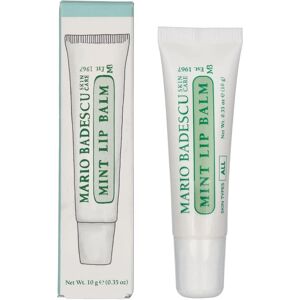 Mario Badescu Minttu Huulivoide (10 g) Mario Badescu Minttu Huulivoide (10 g)