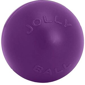 Jolly Pets Push N Play Ball 14" Purple - Dog Toy Jolly Pets Push N Play Ball 14" Purple - Dog Toy