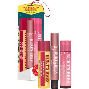 Burt’s Bees Mistletoe Kiss Lip Set - Hydrating, Tinted & Shimmer Burt’s Bees Mistletoe Kiss Lip Set - Hydrating, Tinted & Shimmer