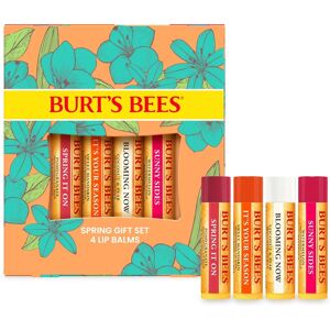 Burts Bees Lip Balm Gift Set - Natural Lip Care Burts Bees Lip Balm Gift Set - Natural Lip Care