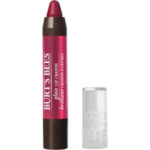 Burt's Bees Pacific Coast Lip Crayon - Lip Gloss, Moisturizing Burt's Bees Pacific Coast Lip Crayon - Lip Gloss, Moisturizing