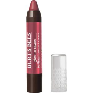 Burt's Bees Lip Crayon Tahitian Sunset - Lip Gloss, Natural, Hydrating Burt's Bees Lip Crayon Tahitian Sunset - Lip Gloss, Natural, Hydrating