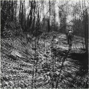 Dark Entries Topographies - Interior Spring - Post-punk Vinyl LP import från USA Dark Entries Topographies - Interior Spring - Post-punk Vinyl LP import från USA
