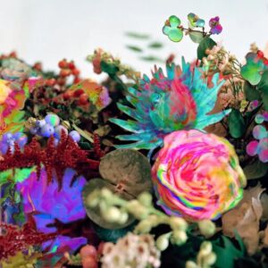 Darkstar - News From Nowhere CD - Music CD Darkstar - News From Nowhere CD - Music CD