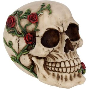 Nemesis Now Skull Figurine - Rose From Beyond 15cm Nemesis Now Skull Figurine - Rose From Beyond 15cm
