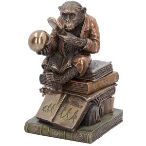 Nemesis Now Darwinism Of Evolutionary Theory Figurine - Charles Darwin Chimpanzee Ornament Nemesis Now Darwinism Of Evolutionary Theory Figurine - Charles Darwin Chimpanzee Ornament