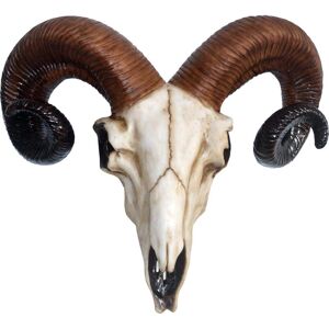 Nemesis Now Ram Skull - 33cm Decorative Skull - White/Brown - Animal Spirit Decor Nemesis Now Ram Skull - 33cm Decorative Skull - White/Brown - Animal Spirit Decor
