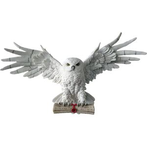 Nemesis Now Hedwig - Owl Wall Decor - Harry Potter Collectible Nemesis Now Hedwig - Owl Wall Decor - Harry Potter Collectible