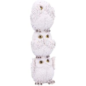 Nemesis Now - Snowy Owl Collectible Figurine 20cm - Gothic Giftware Nemesis Now - Snowy Owl Collectible Figurine 20cm - Gothic Giftware