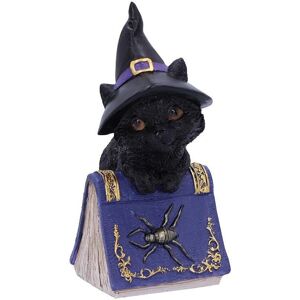 Nemesis Now Pocus Schwarze Katzenfigur - 12,5cm Nemesis Now Pocus Schwarze Katzenfigur - 12,5cm
