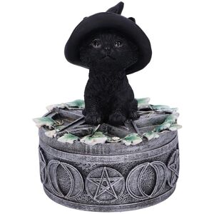 Nemesis Now Ivy Familiar Box 15cm - Dekorativer Schmuckkasten Nemesis Now Ivy Familiar Box 15cm - Dekorativer Schmuckkasten