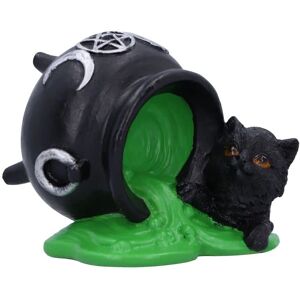 Nemesis Now Zwarte Kat Wiccan Figurine - Decoratie - 8.7cm Nemesis Now Zwarte Kat Wiccan Figurine - Decoratie - 8.7cm