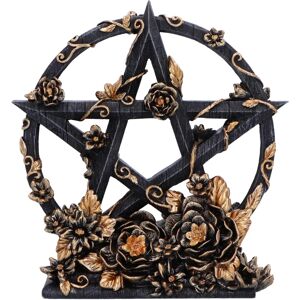 Nemesis Now Gothic Floral Pentagram Ornament - 16.5cm Nemesis Now Gothic Floral Pentagram Ornament - 16.5cm