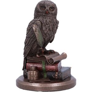 Nemesis Now - The Owls Tale Bronze Figurine Nemesis Now - The Owls Tale Bronze Figurine