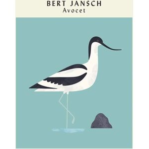 Bert Jansch Avocet - Utökad jubileumsutgåva - Musikalbum Bert Jansch Avocet - Utökad jubileumsutgåva - Musikalbum