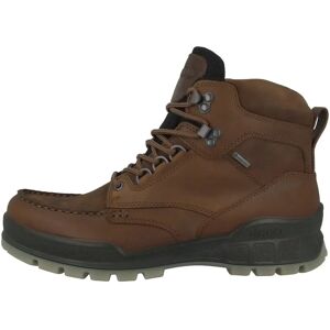 Ecco Track 25 M - Waterproof Gore-Tex Hiking Shoes - Brown - 41 Ecco Track 25 M - Waterproof Gore-Tex Hiking Shoes - Brown - 41