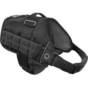 Kurgo RSG Townie Dog Harness - Adjustable, Lightweight, Adventure-Ready Kurgo RSG Townie Dog Harness - Adjustable, Lightweight, Adventure-Ready