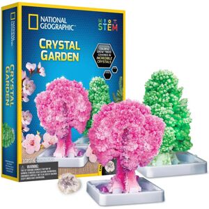 National Geographic - Kit Creativ Gradina De Cristale - Growing Kit National Geographic - Kit Creativ Gradina De Cristale - Growing Kit