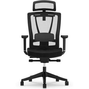 Flexispot Chaise de Bureau Ergonomique BS14 - Chaise de Bureau - Publicité Flexispot Chaise de Bureau Ergonomique BS14 - Chaise de Bureau - Publicité