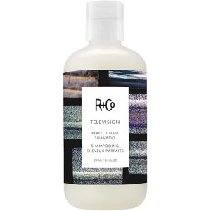 R+Co Television Perfect Hair Shampoo - Moisturizing, Vegan, 8.5oz R+Co Television Perfect Hair Shampoo - Moisturizing, Vegan, 8.5oz