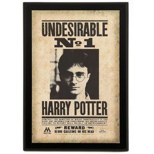 Noble Collection Harry Potter Plaque Indésirable - Décoration Murale Noble Collection Harry Potter Plaque Indésirable - Décoration Murale