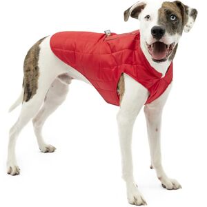 Kurgo Loft Dog Jacket - Chilli Red & Charcoal - Medium Kurgo Loft Dog Jacket - Chilli Red & Charcoal - Medium