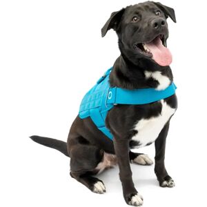 Kurgo RSG Townie Dog Harness - Durable & Adjustable Kurgo RSG Townie Dog Harness - Durable & Adjustable