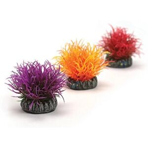 Ensemble de Plantes Colorées biOrb - Décoration d'Aquarium - Publicité Ensemble de Plantes Colorées biOrb - Décoration d'Aquarium - Publicité