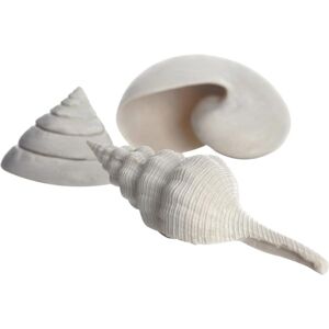 biOrb Shell Set 3 White - Aquarium Ornament biOrb Shell Set 3 White - Aquarium Ornament