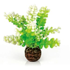 biOrb Caulerpa Green Aquarium Decoration - Aquarium Decoration biOrb Caulerpa Green Aquarium Decoration - Aquarium Decoration