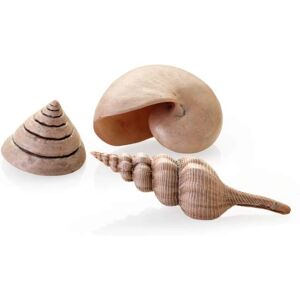 biOrb Natural Sea Shells - Decorative Aquarium Ornaments biOrb Natural Sea Shells - Decorative Aquarium Ornaments