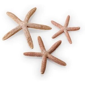Oase-Pumpen Wuebke Soehne biOrb Starfish Set - Natural Aquarium Decorations Oase-Pumpen Wuebke Soehne biOrb Starfish Set - Natural Aquarium Decorations